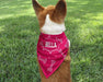 Personalized Bones Design Dog Bandana - Pink