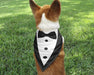 Tuxedo Design Dog Bandana
