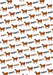 Personalized Horse Birthday Wrapping Paper